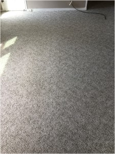 BLOG - Referral Cleans Carpet After