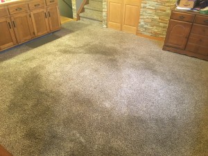 BLOG - Referral Cleans Carpet - Before