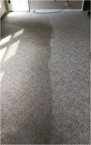 BLOG - Referral Cleans Carpet - Before