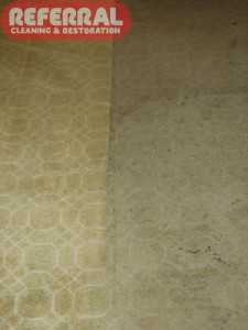 Carpet - 14 Notice how carpet cleaning restores the pattern and colors of this dirty kitchen carpet