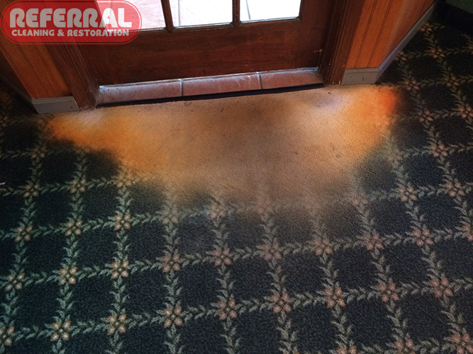 Carpet Bleach Water Spilled onto carpet while mopping tile bleaching out the carpets color
