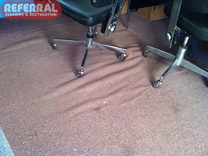 Carpet - Chairs with wheels rolling over carpet caused delamination