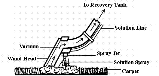 Steam Cleaning vs Hot Water Extraction