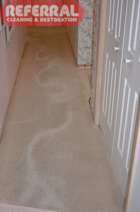 Carpet - Pooling - Shading - Watermarking on polyster carpet looking down the hall from kitchen