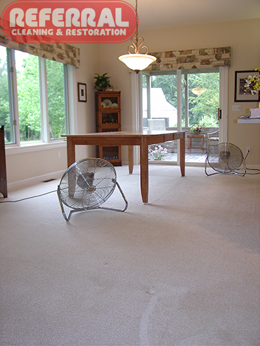 Carpet - Referral Uses Fans To Speed Dry Your Carpet