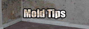 Mold Prevention Tips