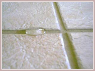 Image result for TILES AND GROUT SEALING