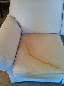 Upholstery - Water Spot Cushion (Before)