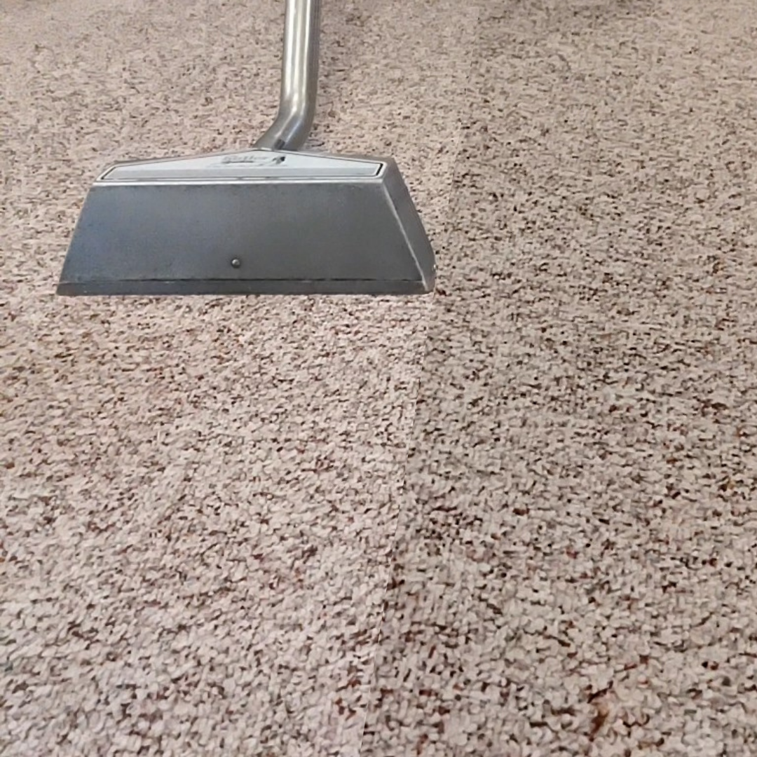 Carpet Contrast Referral Carpet Cleaning